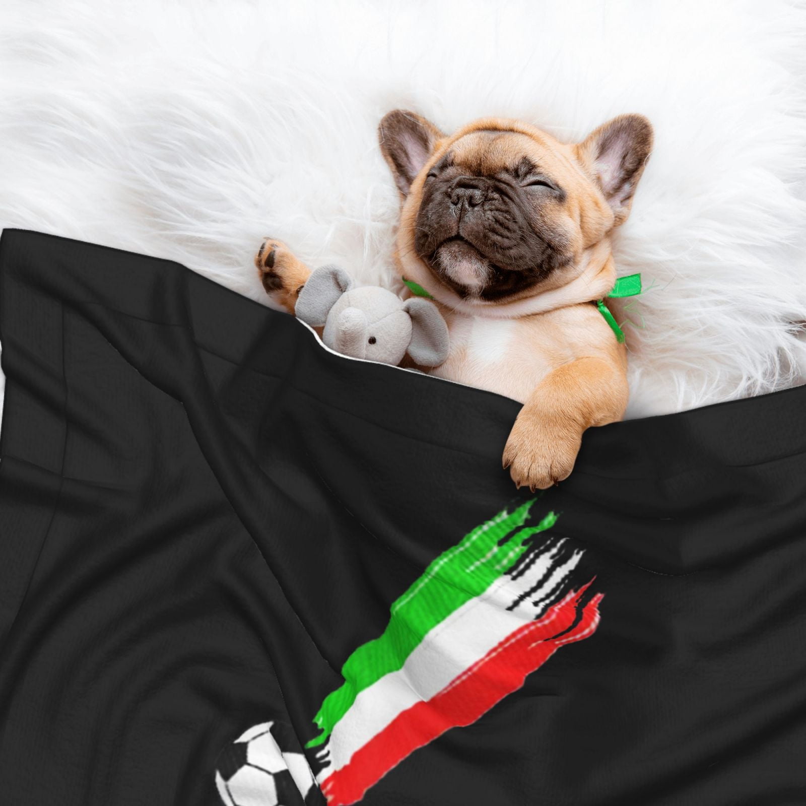 Flannel Throw Dog Blanket Italian Flag And Football Soft Warm Print Pet Blankets for Small Dog Cat Puppy