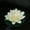 Milk White, variant on Artificial Lotus Flower Fake Floating Water Lily Garden Pond Fish Tank Decor