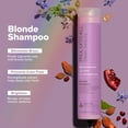thumbnail image 2 of Paul Mitchell Clean Beauty Blonde Shampoo, 33.8 oz., 2 of 9