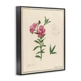 thumbnail image 2 of Stupell Industries French Country Science Study Pink Flower Black Framed Giclee Art, 11 x 14, by Danielle Murray, 2 of 7