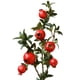 thumbnail image 1 of Ramas artificiales de fruta de granada Sincero 80 cm, 1 of 7