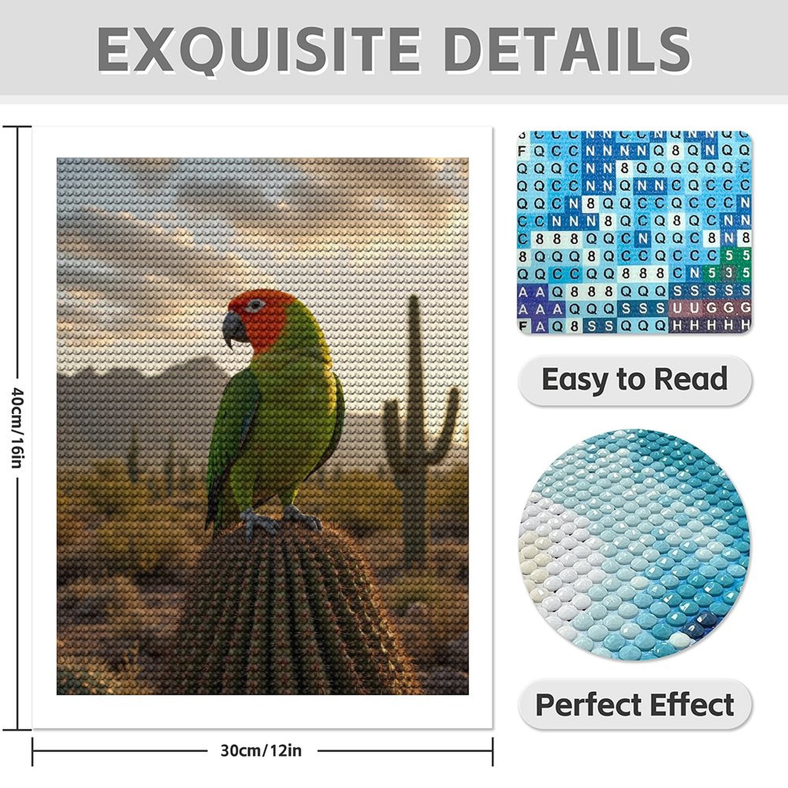 Diamond Art Kits for Adults - 5d Sunset Parrot On Desert Cactus Diamond Painting for Adults, Diamond Art for Adults Beginners, Diamond Painting Kits for Adults for Home Wall Decor