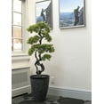 thumbnail image 2 of Artificial Faux Bonsai Tree 63" Fake Plant with Planter, 2 of 3