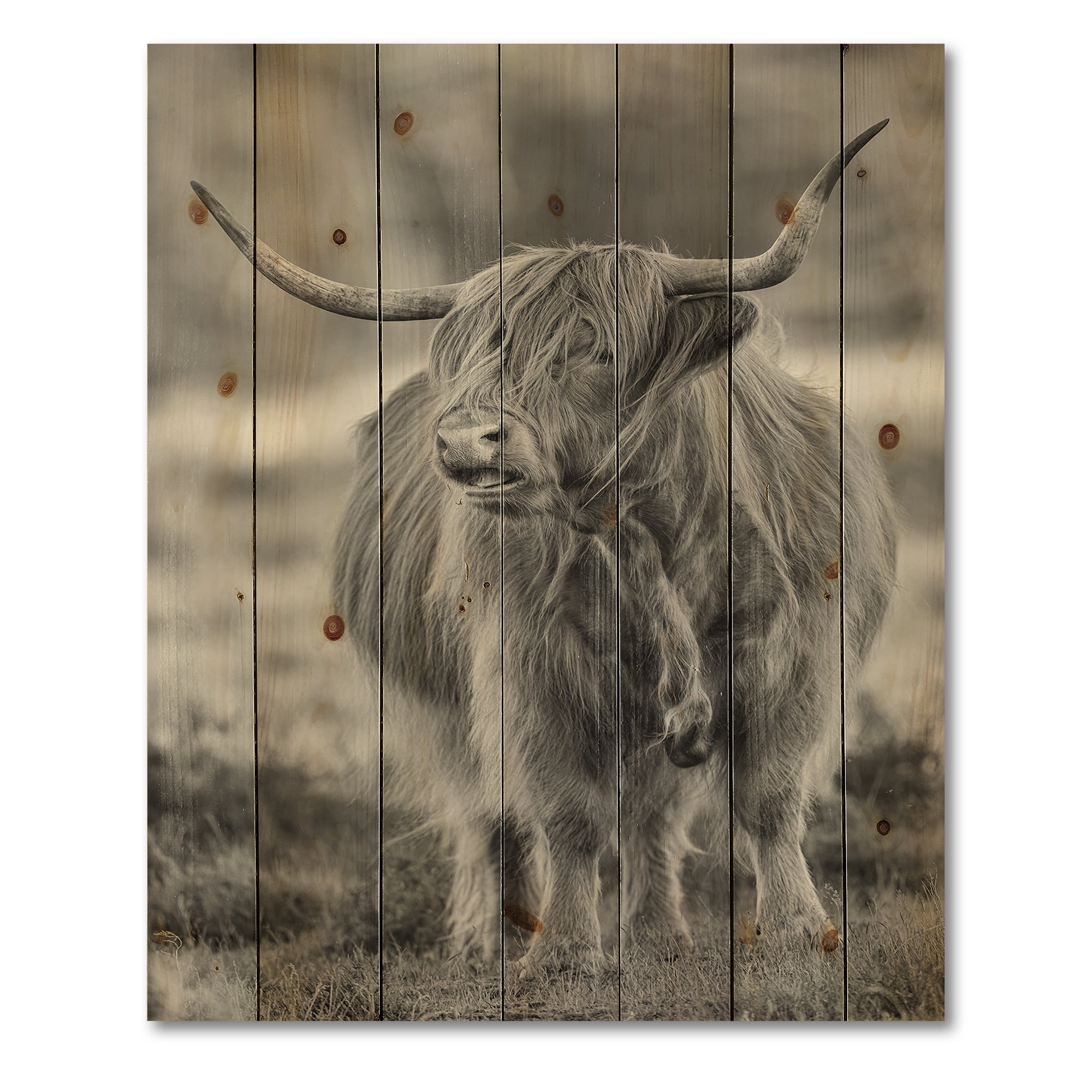 Designart 'Close Up View of Monochrome Bull' Farmhouse Print on Natural Pine Wood