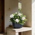 thumbnail image 4 of Tauxra Lazy Self Watering Spherical Plastic Flowerpot For Desktop Home Office Decor, 4 of 6
