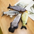 thumbnail image 3 of Juguete eléctrico de simulación de peces y gatos para morder, masticar y patear, 3 of 8