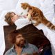 thumbnail image 2 of Bob Ross: El Placer de Pintar anti-pilling, suave, ligera, esponjosa y acogedora de lujo para hogar y cocina – Perfecta para niños y adultos, 100 x 150 cm, 2 of 6