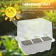 thumbnail image 2 of EeaseMX 3 bandejas de germinación útiles para plantas suculentas y flores con tapa., 2 of 7