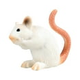 thumbnail image 3 of TISHITA Mice Toy Collectibles Simulated Mouse Model for Festivals Preschool Birthday C, 3 of 8