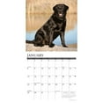 thumbnail image 3 of Just Black Labs 2023 Wall Calendar (Other), 3 of 4