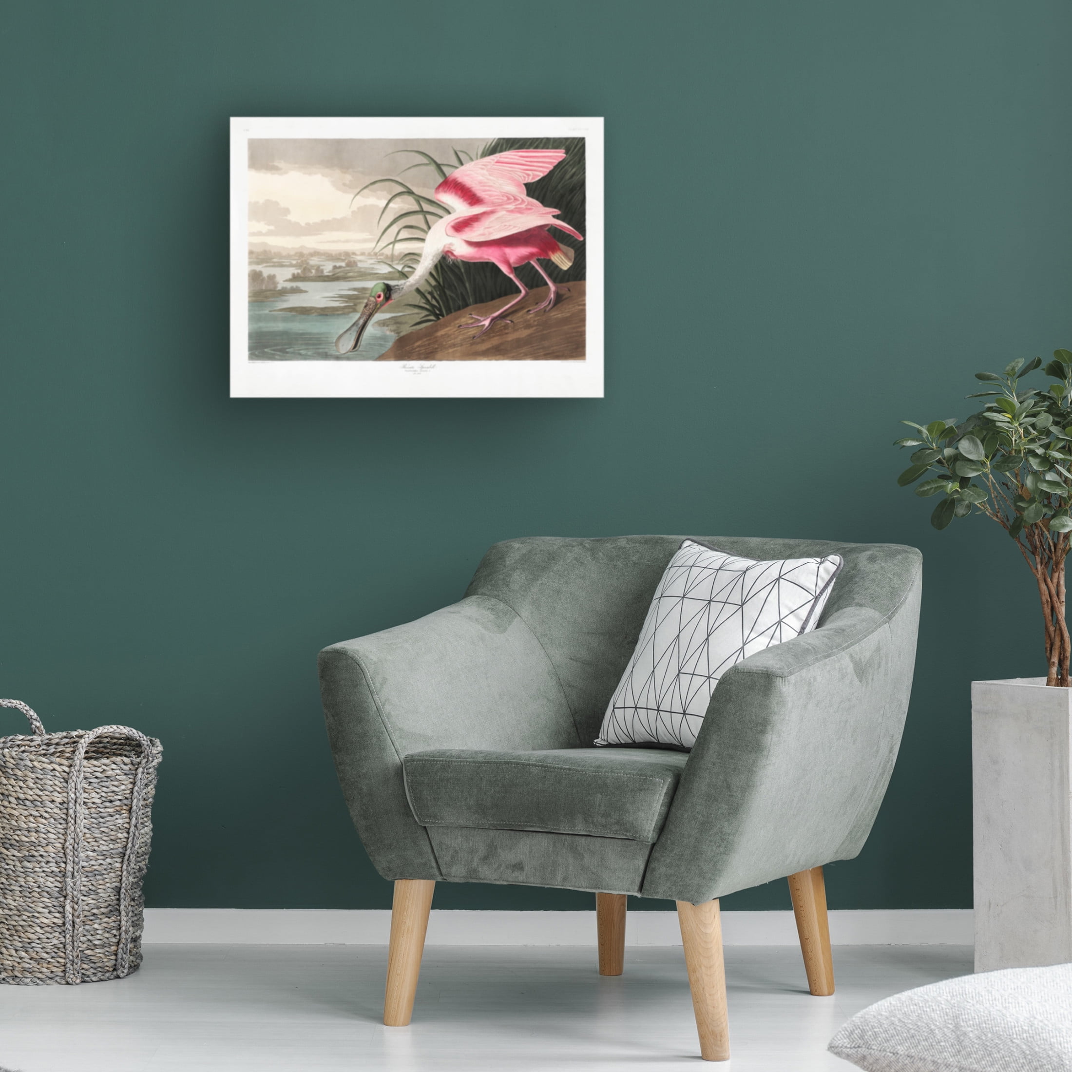 Trademark Fine Art Pictufy   Roseate Spoonbill From Birds of America 1827 Canvas Wall Art