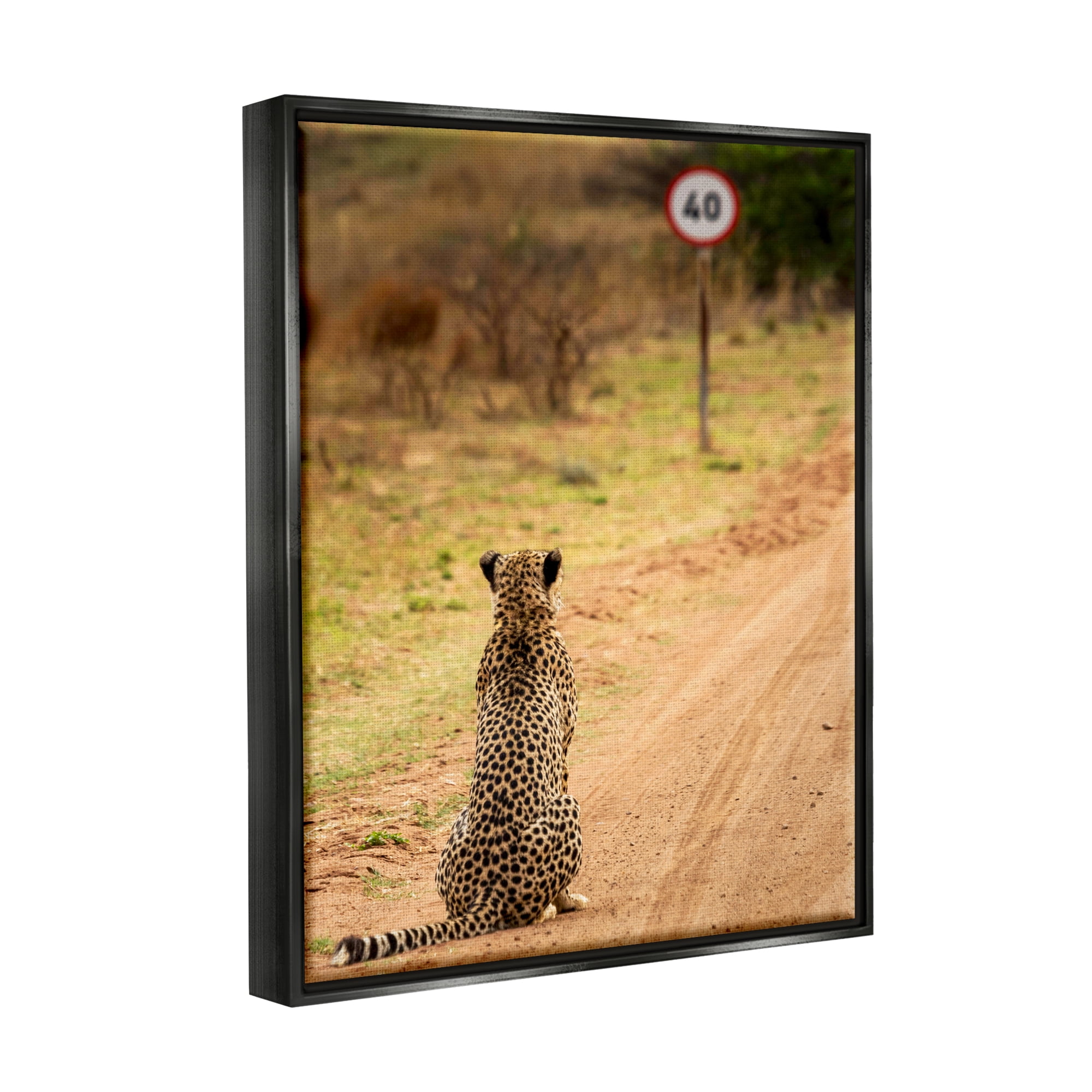 Stupell Industries Speedy Cheetah on Road Animals & Insects Photography Black Floater Framed Canvas Art Print Wall Art, 17 x 21