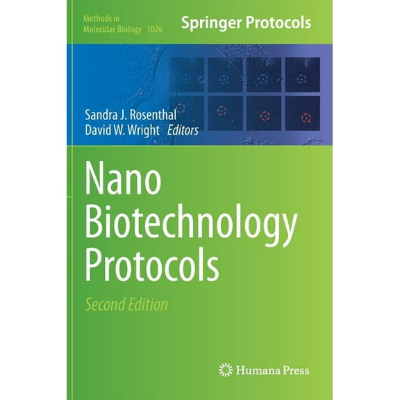 Methods in Molecular Biology Nanobiotechnology Protocols, Book 1026, (Hardcover)