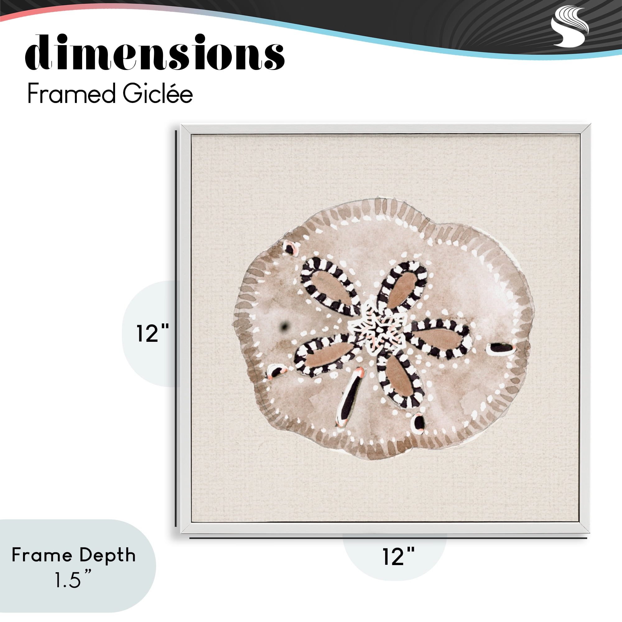 Stupell Industries Taupe & Beige Sand Dollar White Framed Giclee Art, design by Lanie Loreth