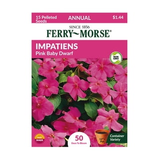 Ferry-Morse 10 x 20 17.5W Seed Starting Heat Mat 
