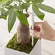 thumbnail image 4 of Medidor de Humedad del Suelo para Plantas de Interior (5 Unidades), Ideal para Plantas en Maceta de Interior (Grande), 4 of 5