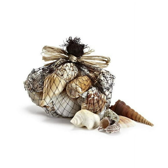 Abbott Collection AB-45-BEACH 1.5 x 2.5 in. Natural Shell Mixed Seashell, Mixed