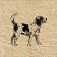 thumbnail image 2 of Berg, Sabine 12x12 White Modern Wood Framed Museum Art Print Titled - Beagle, 2 of 4
