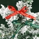 thumbnail image 1 of Cinta Navideña con Cascabeles Dorados, 1 Cm de Ancho X 22 M, Poliéster Rojo o Verde, para Envolver Regalos, Decorar Árboles, Manualidades y Decoración Festiva., 1 of 6