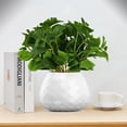 thumbnail image 5 of ABPETE Artificial Vanilla Leaf Plant, Faux Greenery Plastic Houseplant Faux Plastic Plants Greenery for Garden Patio Planter Pathway Porch Window Decor, 5 of 14