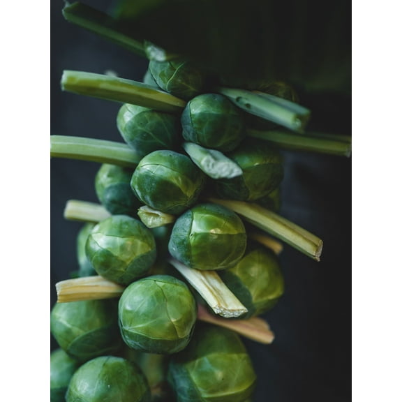 Long Island Improved Brussel Sprouts/Biennial/Full Sun/ 32K Seeds 1/4lb/Zellajake Farm and Garden - B131
