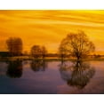 thumbnail image 2 of Weissing, Gerd 24x20 Black Ornate Wood Framed with Double Matting Museum Art Print Titled - Afterglow II, 2 of 4