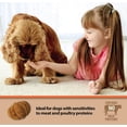 thumbnail image 7 of Emerald Pet Pumpkin Harvest Oven Baked Dog Treats with Apple, 7 of 7