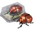 thumbnail image 1 of Realistic Interactive Insect Tool Collection For Educational Play Indoor Outdoor Use, 1 of 7