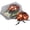 10Pack-QA779, variant on 10 Pack Realistic Interactive Insect Toy Collection For Educational Play Indoor Outdoor Use
