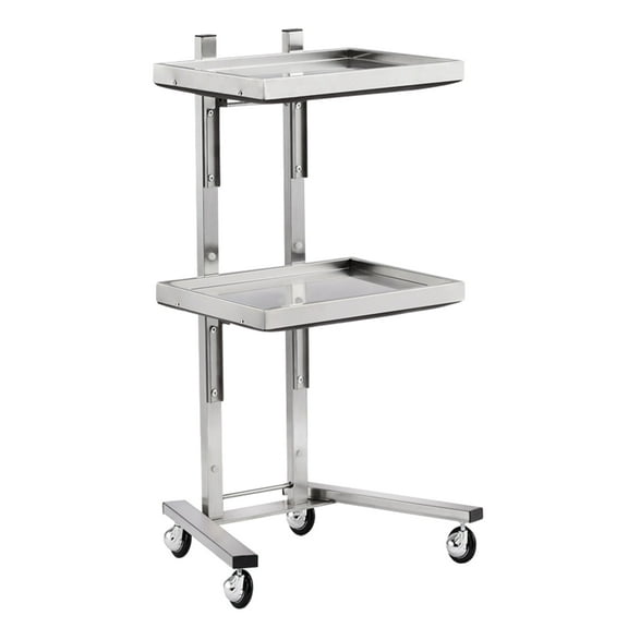 Mustrod 2 Tier Silver Beauty Salon SPA Rolling Trolley Cart with Two Storage Tray Stainless Steel Hair Salon Trolley on Wheels