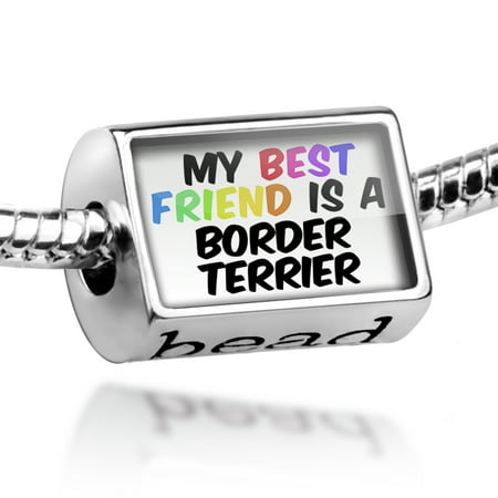 Bead My best Friend a Border Terrier Dog from Scotland, England Charm Fits All European