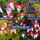 thumbnail image 2 of 2 piezas de lámpara de lirio, 4 cabezas de flores de simulación LED, lámpara de jardín al aire libre, paisaje de lámpara de césped (rojo + morado), 2 of 5