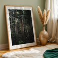 thumbnail image 6 of Whispers - Photography Forest Jungle Nature Woods Tropical Botanical Wilderness Unframed Wall Art Print 5 x 7 inches, 6 of 60
