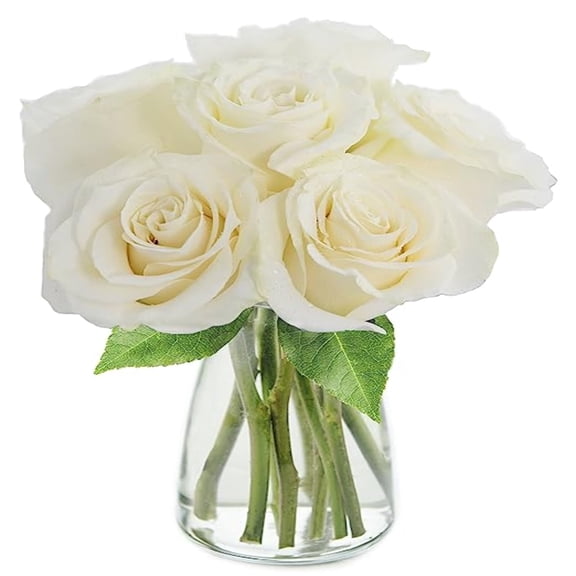 KaBloom : 6 Long White Roses in vase, Next-Day Delivery, Gift for Every Occasion.