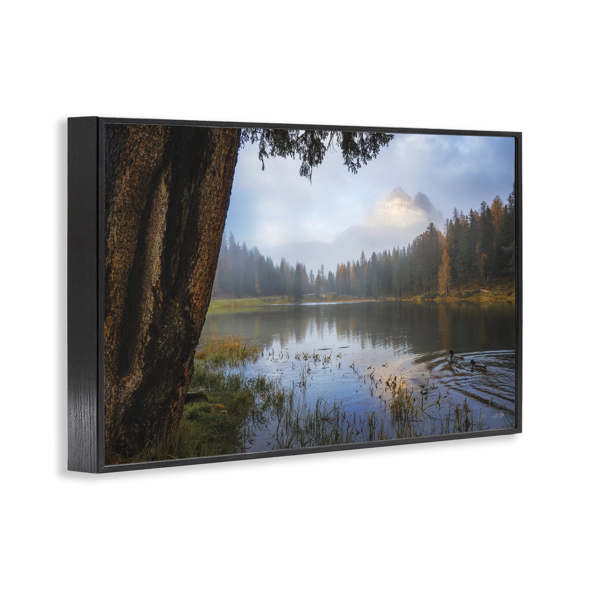 Stupell Industries Autumn Forest Reflections Black Framed Giclee Art, design by Martin Podt