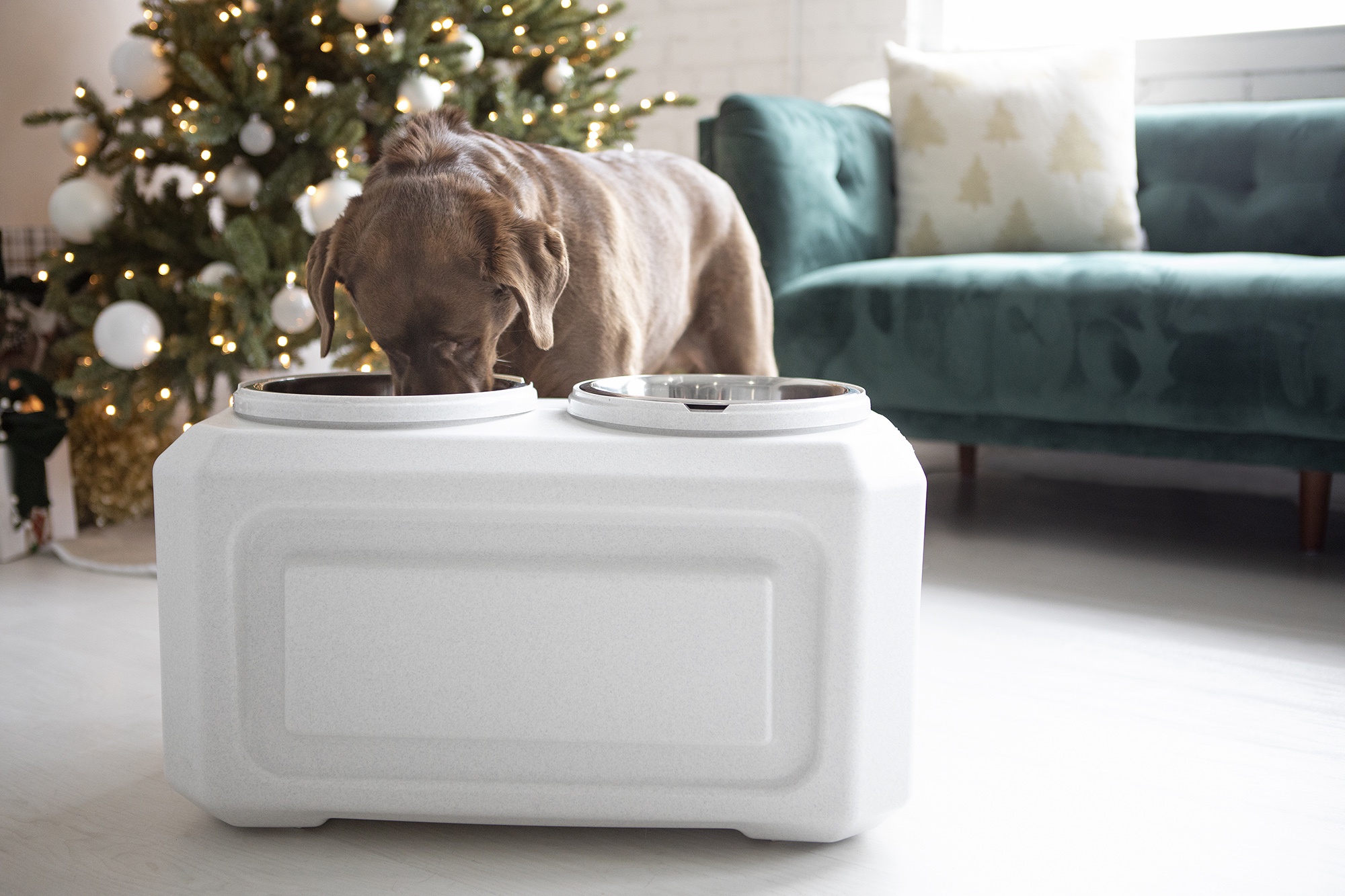 Gamma2 Vittles Vault Elevated Bowls with 50 lb Storage photo 5