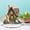 C, variant on Bfogop Easter Decoration Spring Bunny Ornament 2D Acrylic Desktop Ornament for Living Room Holiday Party Supplies 2026 Cartoon Cute Easter Eggs Rabbit Designs Decoration Accessories