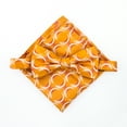 thumbnail image 2 of Scott Allan Collection Adjustable Pre-Tied Bow Tie Set | Orange Bowties, 2 of 4