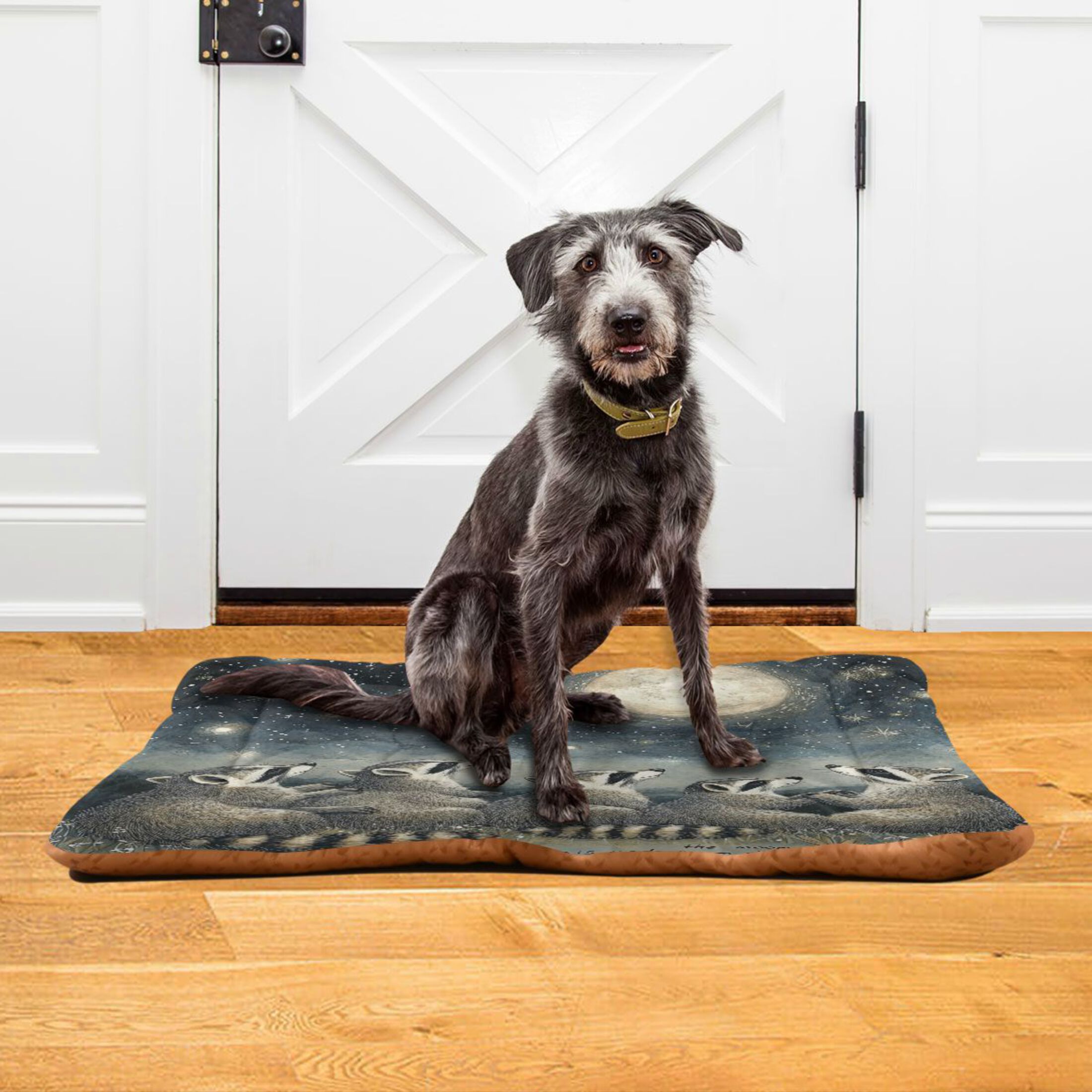 Qxltty Raccoon Watching The Moon Ped Pad Wear-resistant and Hard to Bite Through Sleeping Pad for Small Medium Large Dogs Winter Pet Bed 36×24in
