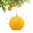 thumbnail image 2 of Ball Fruit Fly Catcher Flying Insect Bug Pest Gnat Traps Ball Wasp Bee Insect Trap for Indoor Outdoor House Kitchen Plants Trees (Yellow), 2 of 9