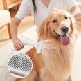 thumbnail image 2 of Greeniant Peine eléctrico para mascotas 2 en 1, secador de 3 flujos de aire, pequeño, mediano, grande, portátil, extraíble, bajo nivel de ruido, Suministros para perros Blanco Greeniant PT003960-01, 2 of 6