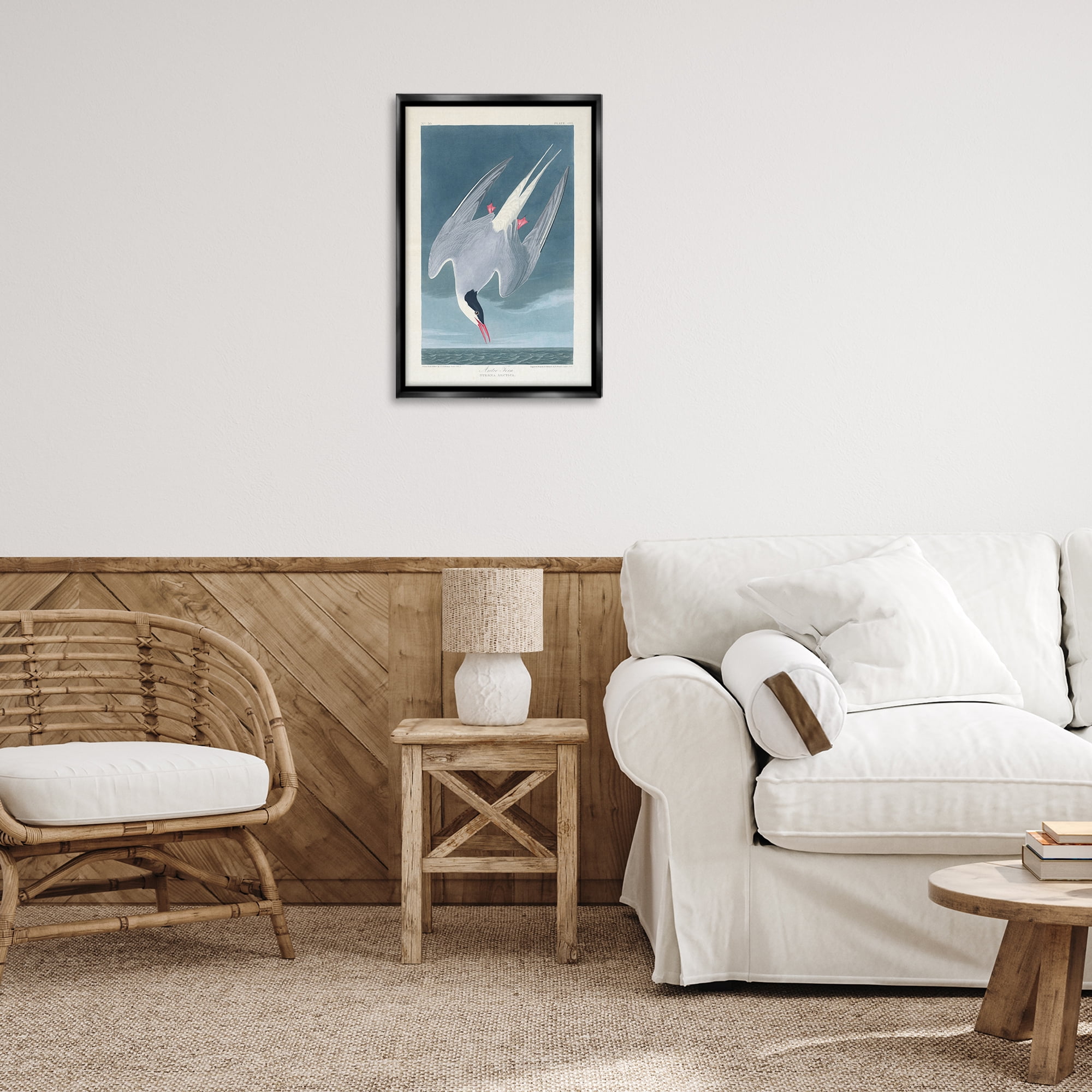 Stupell Industries Classic Arctic Tern Bird Animals Painting Black Floater Framed Canvas Art Print Wall Art, 17 x 25