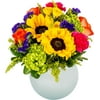 Arabella Bouquets Fresh Cut Daydream Flowers with Opal Vase, Red