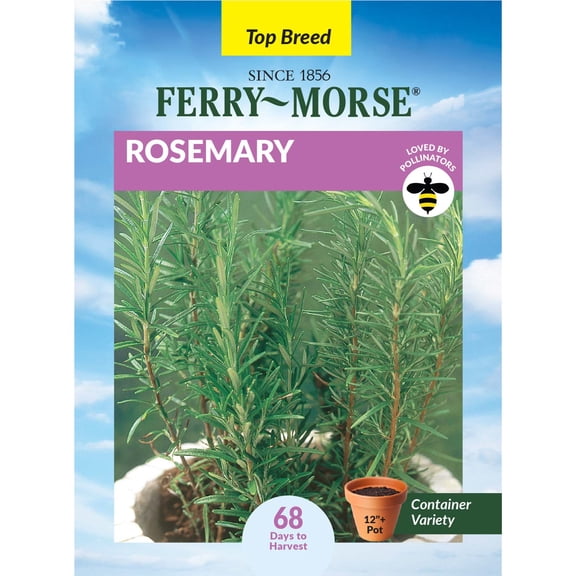 Ferry-Morse 110MG Rosemary Perennial Herb Seeds, Full Sun