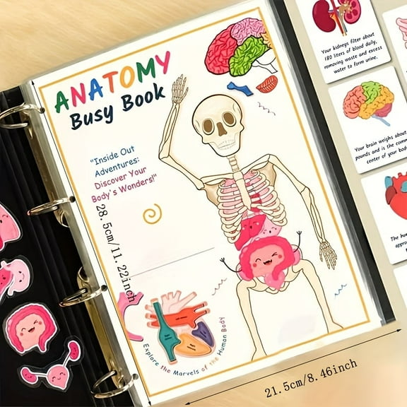 Human Body Anatomy Busy Book for Kids，Interactive Anatomy Binder Sensory Educational Busy Book，Montessori Busy Book Human Body Model Preschool Learning Activities Book for Kids