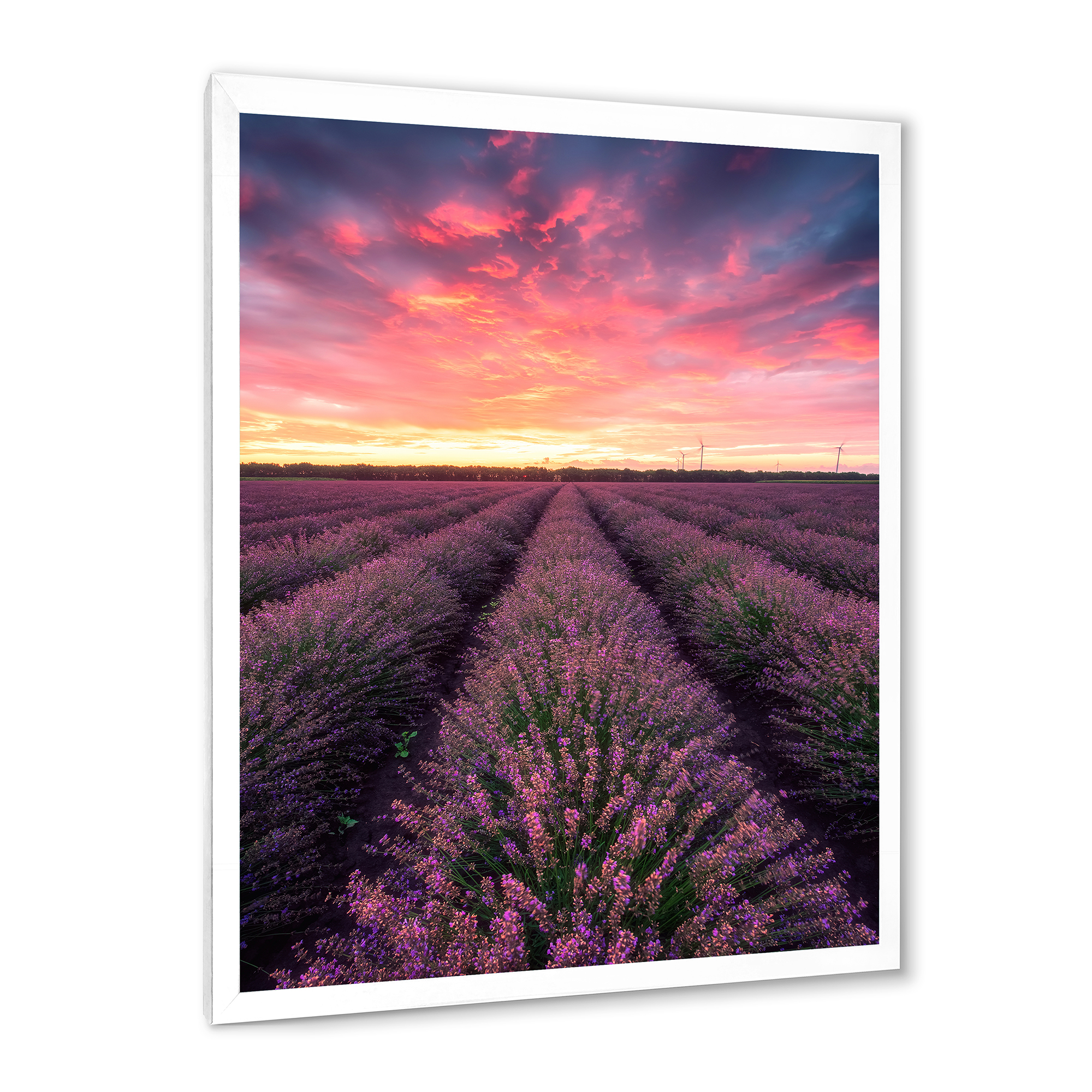 Designart 'Dramatic Clouds and Sunrise Over Lavender Field XIV' Farmhouse Framed Art Print
