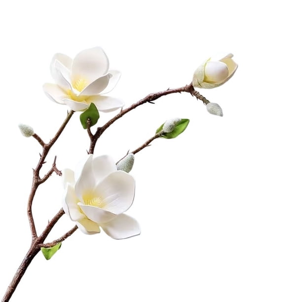 Una flor de magnolia artificial, magnolia que se siente al tacto, adecuada for decoraciones de bodas y exhibición en el hogar, hecha de espuma EVA.