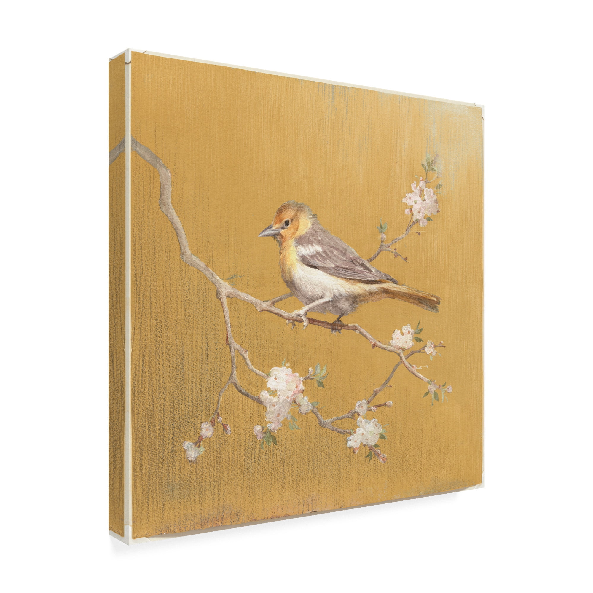 Trademark Fine Art 'Northern Oriole on Gold' Canvas Art by Danhui Nai