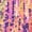 Multicolour, variant on INSPIRE CHIC Women's Sequin Jacket Zipper Closure Hidden Pockets Bomber Jacket L Pink Purple