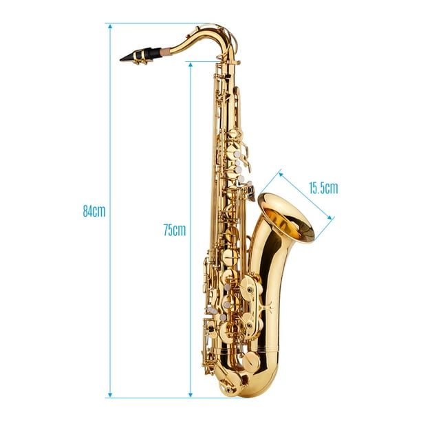 Brosse de saxophone-1 - Tampon de nettoyage pour saxophone, outil  d'entretien pour saxophone ténor